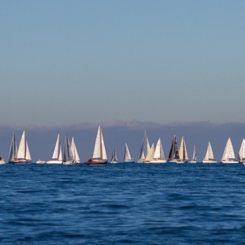 ampliar