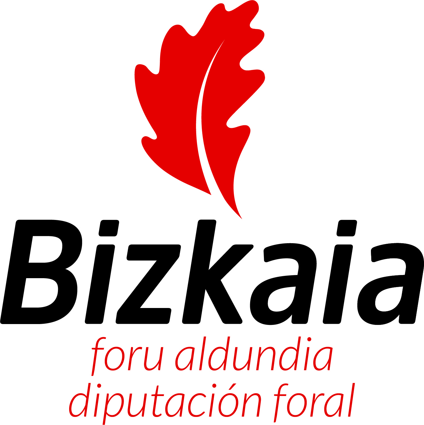 DIPUTACIÓN FORAL DE BIZKAIA