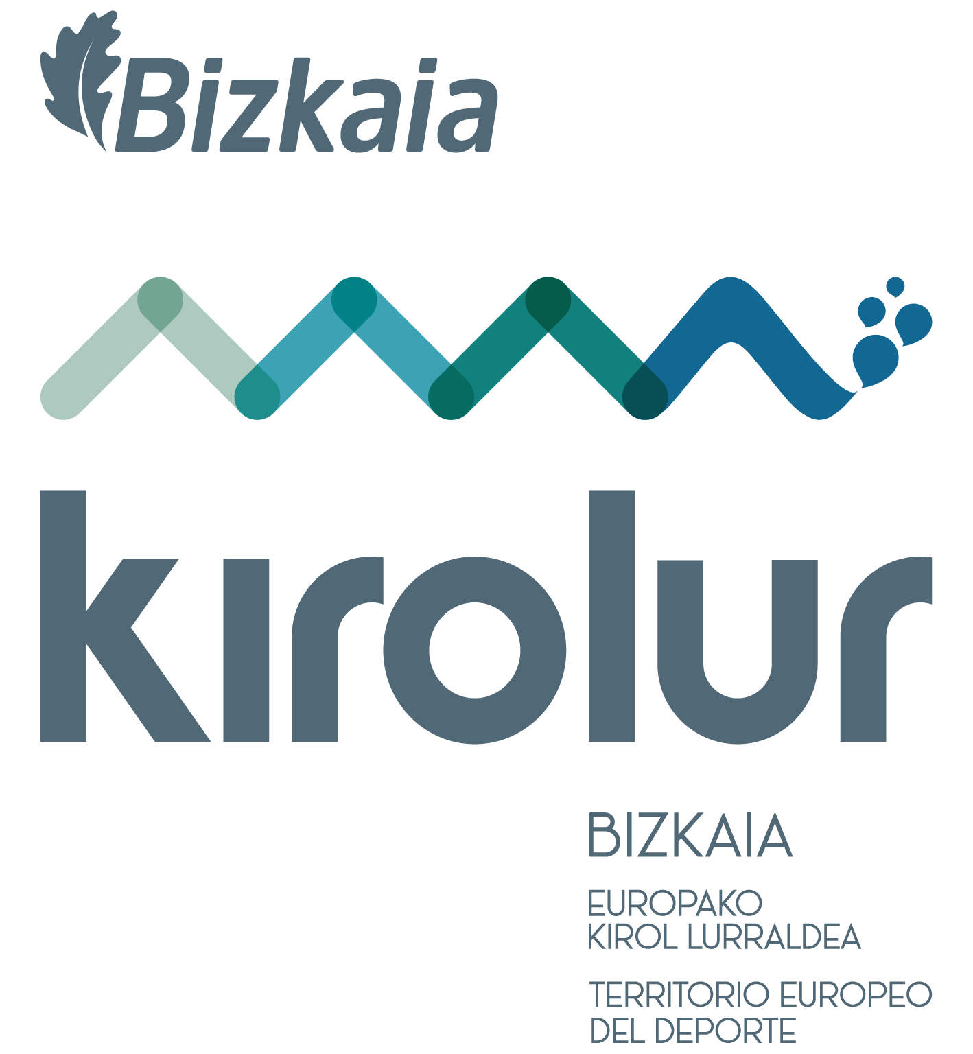 DIPUTACIÓN FORAL DE BIZKAIA - BIZKAIKO FORU ALDUNDIA