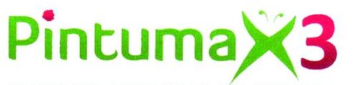 Pintumax